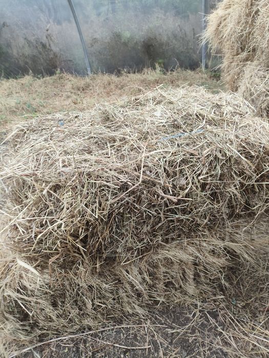 Сіно лугове в тюках