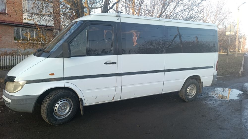 спрінтер 313 спринтер