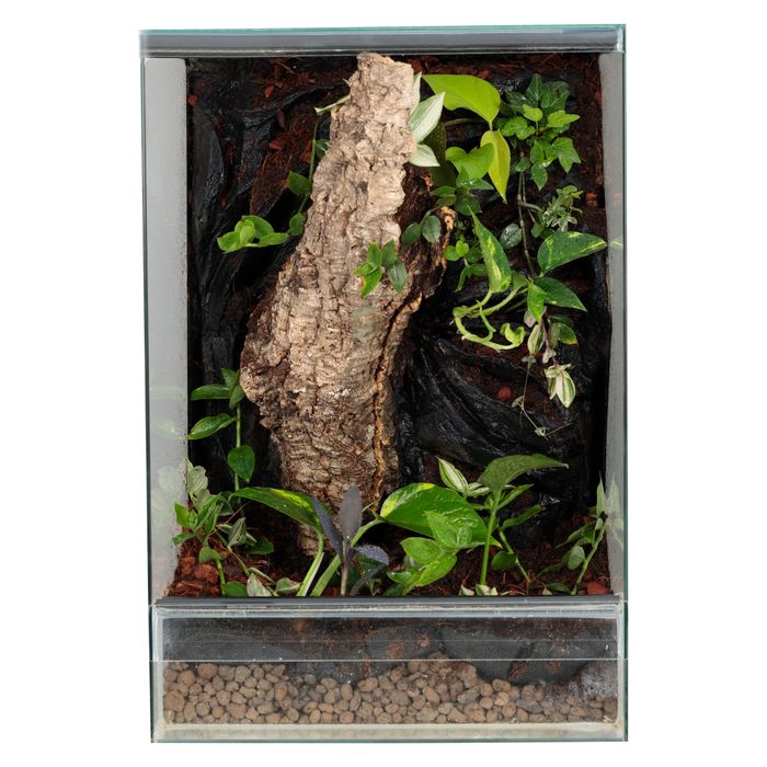 Terrarium las w szkle gekon