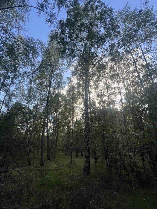 Земельна ділянка під забудову. Терміновий продаж.