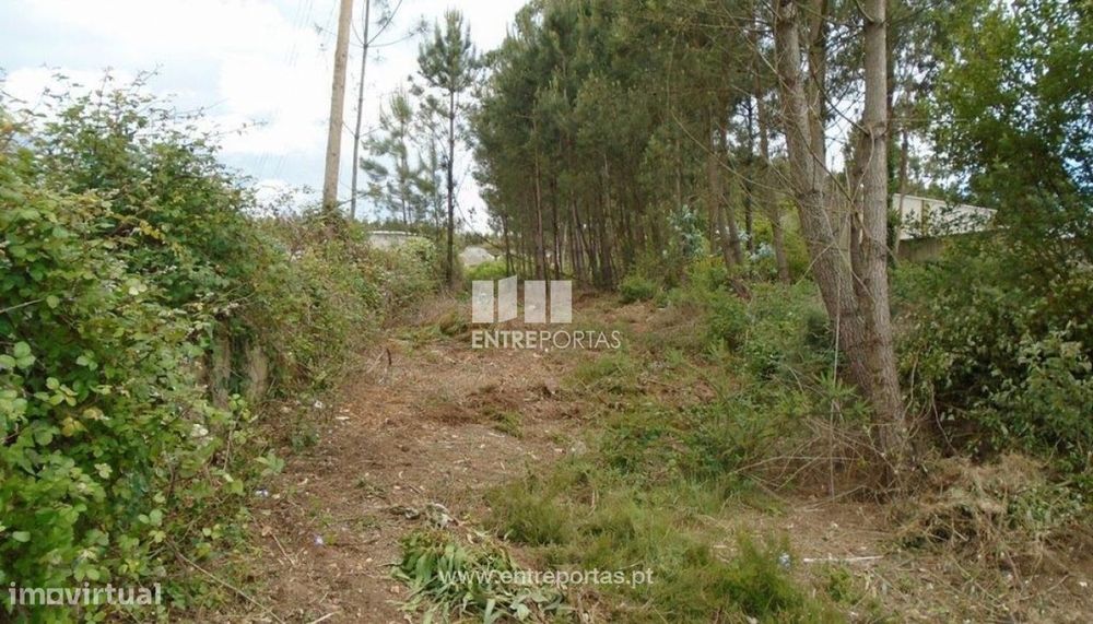 Venda de Terreno para construção de armazém industrial, Guidões, T