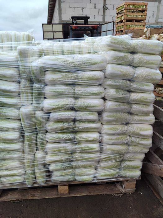 Пекінську капусту потребую на постійній основі