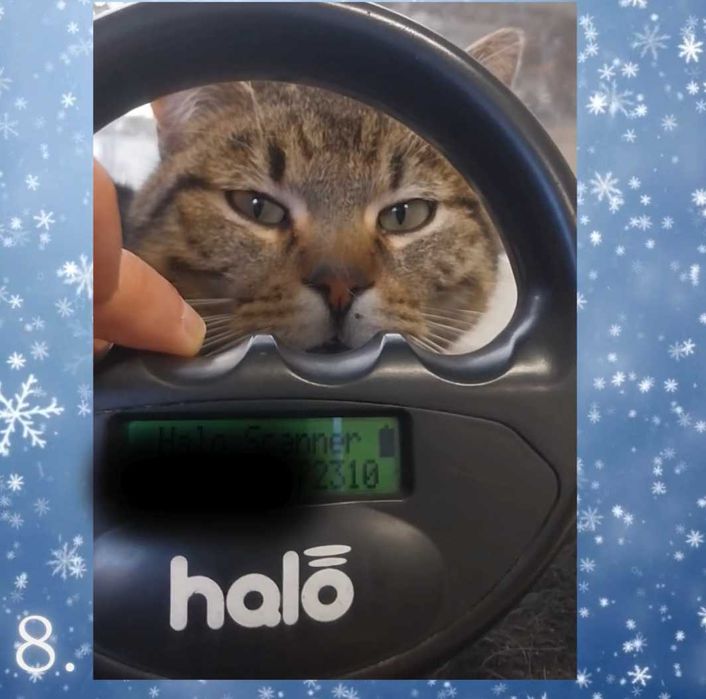 Wciąż wierzę, że istniejesz. Mikołaju proszę o pomoc i dom !