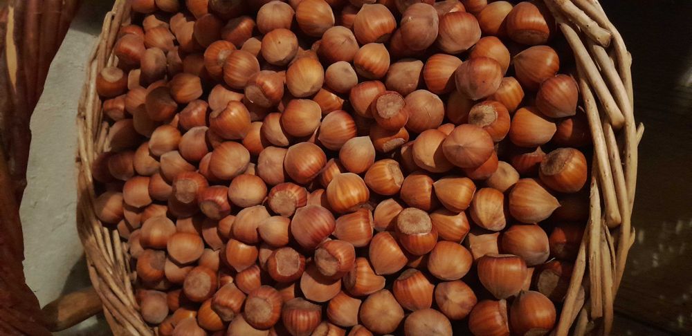 Orzechy laskowe w łupinie 4kg