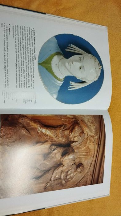 O Despertar do Renascimento