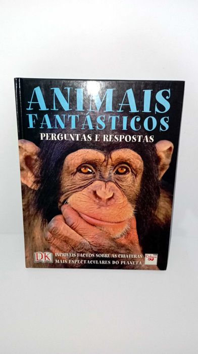Animais Fantásticos - perguntas e Respostas