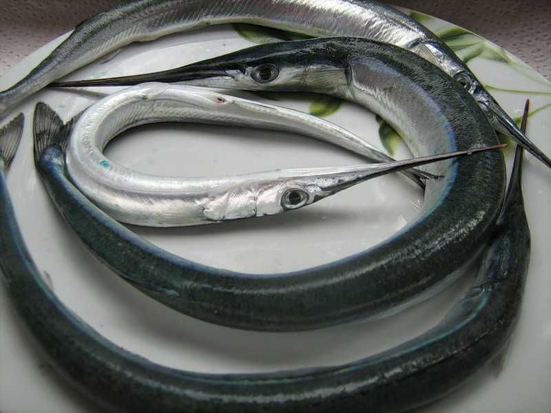 Сарган риба стріла  Тушкований в Автоклаві | Тушонки мясні та Рибні