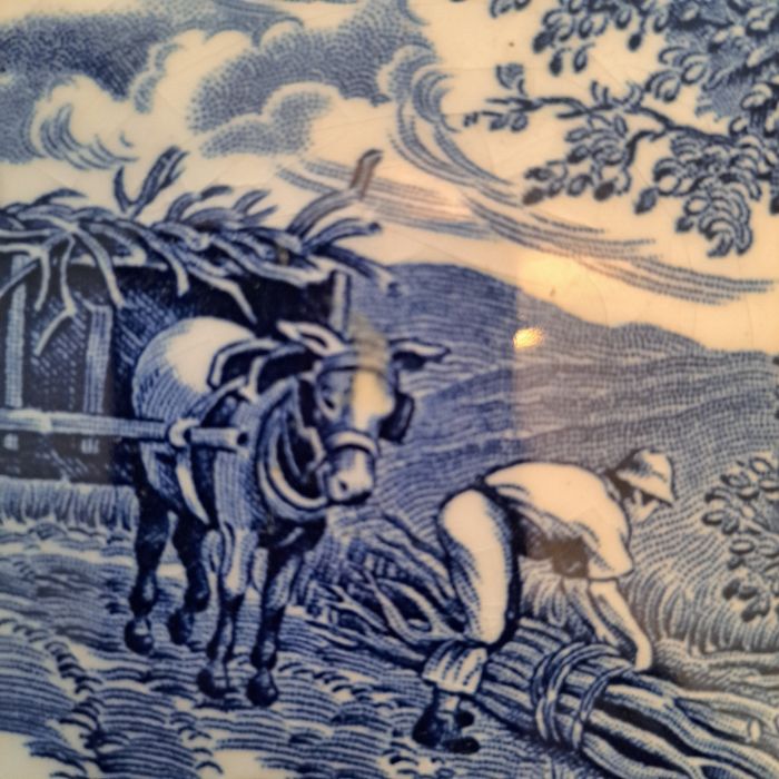 Pratos Porcelana inglesa