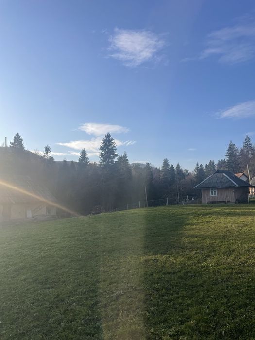 Продаж будинку та земельної ділянки 91 сот. біля лісу в с. Шешори