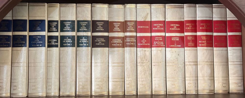 Lexicoteca, Grande dicionário da língua portuguesa e História
