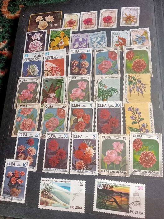 Альбом 30Х21 . Марки (флора.фауна,інше 180шт).