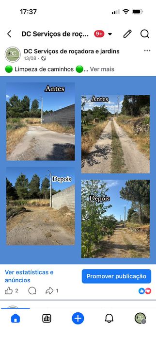 Manutenção de jardins