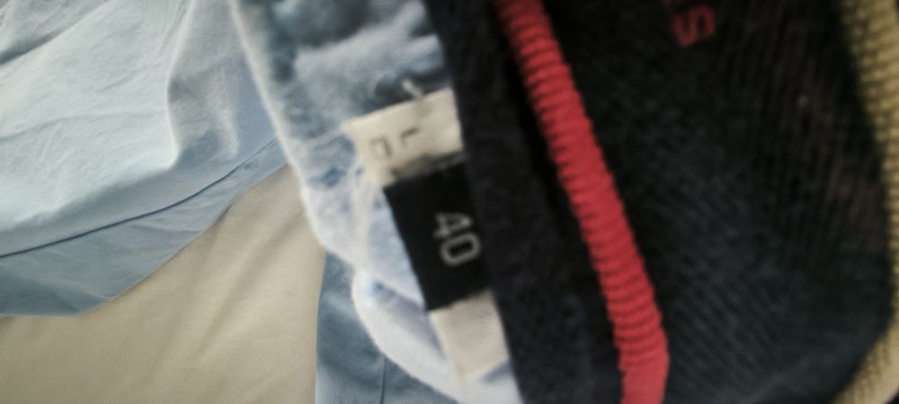 Lion of Porches Bermudas Calções M