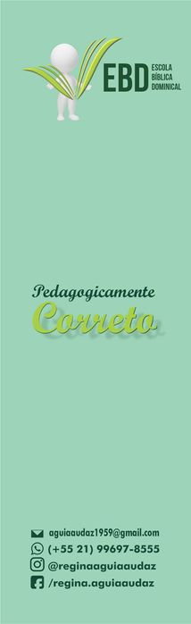 Pedagogicamente Correto - Regina Célia