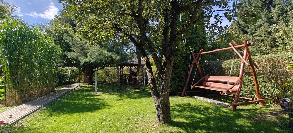 Zielona Oaza blisko Centrum! Zadbana Działka ROD „Kaczeniec” w Ząbkach – 380 m2