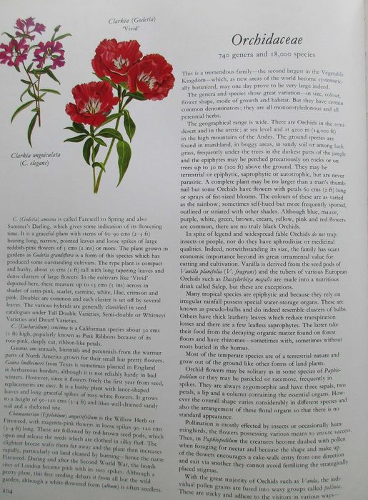 Flowers of the World - - - - - Encyclopedia