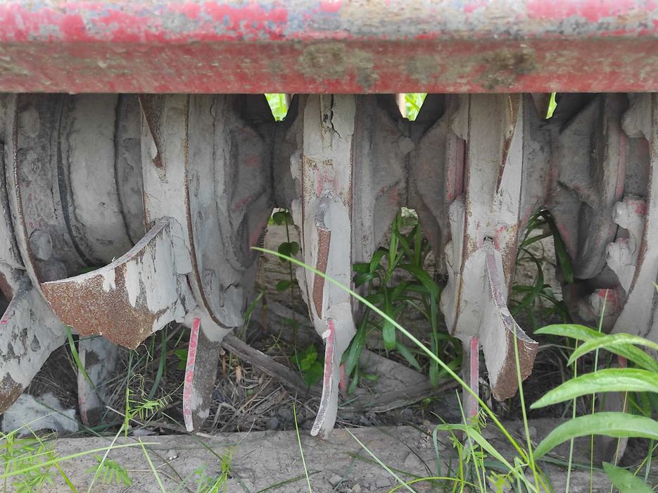 фреза болотна під мтз