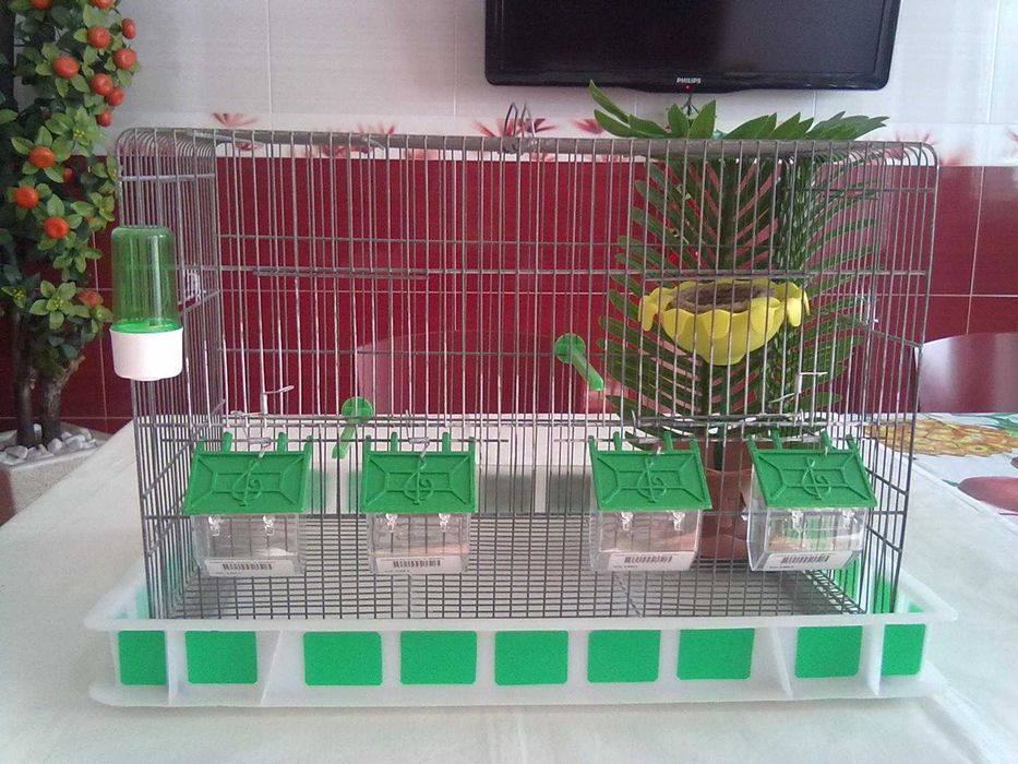 Viveiro de criação completo