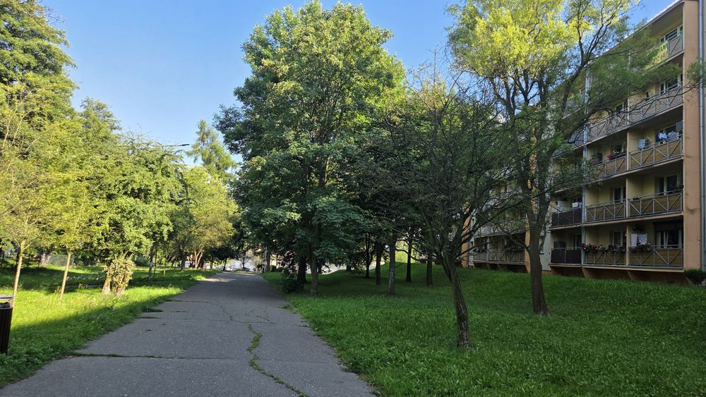 Zdjęcie 8