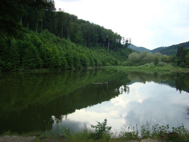 Відпочинок в Карпатах,котедж, Красноїльськ, Черн.обл.НР.ВІЛЬНО!