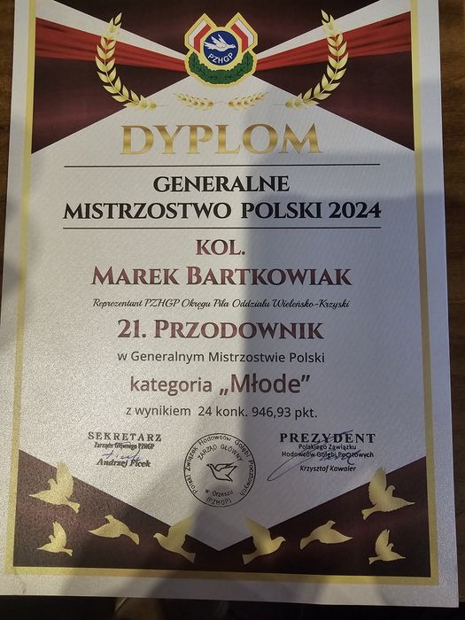 Gołębie Pocztowe Młode 2026  Wielokrotny Mistrz
