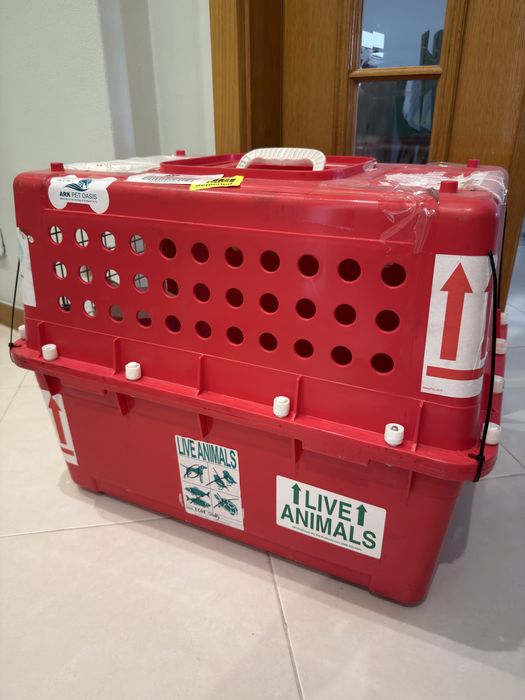 Caixa transporte animais IATA approved