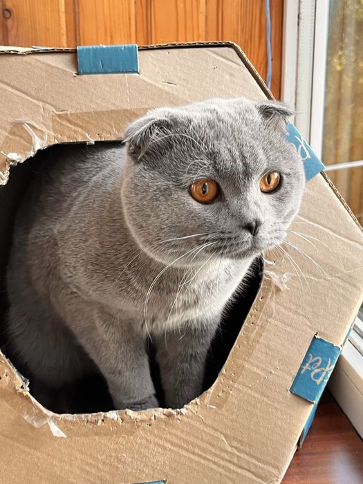 Запрошуємо на вʼязку