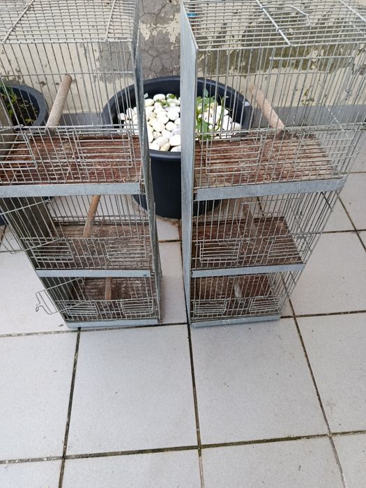 Gaiola para canário pintassilgo ou outras aves