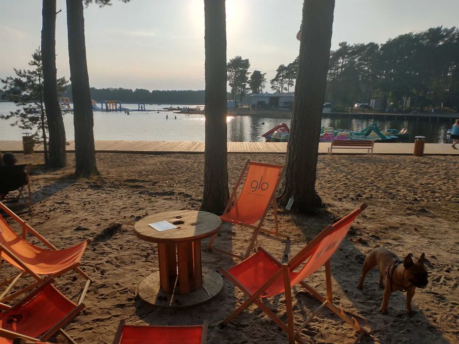 Domek Przy Lesie koło Sielpi