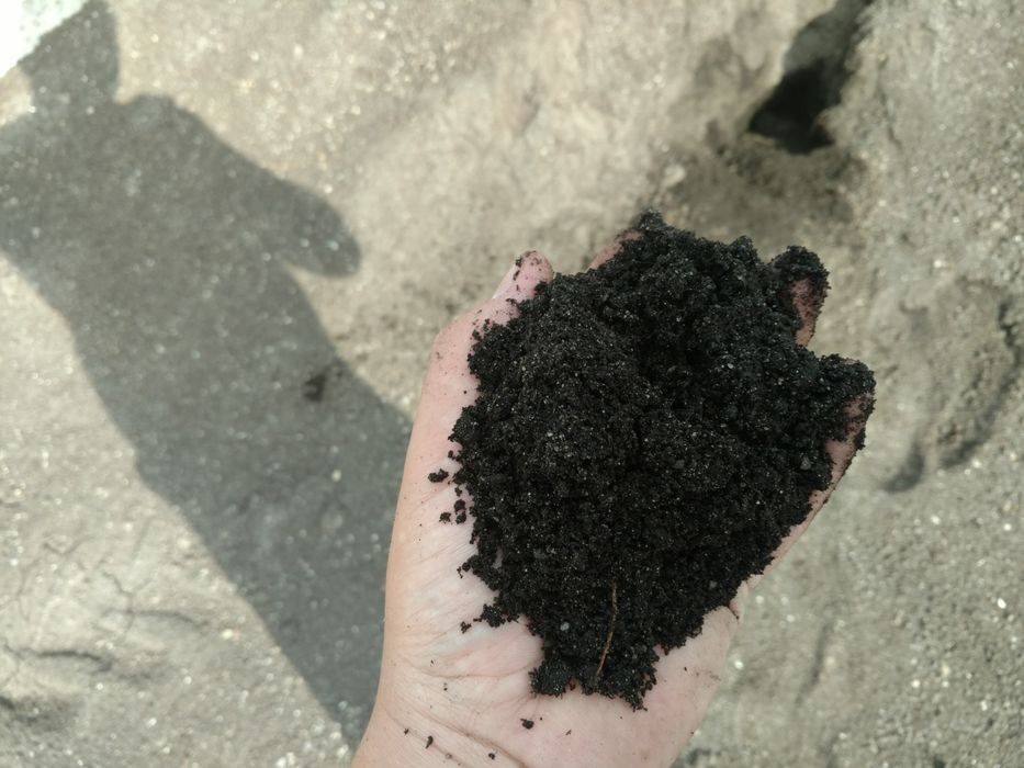 Super Trawa Wersal nasiona trawy ogrodowa ziemia grys granitowy kora