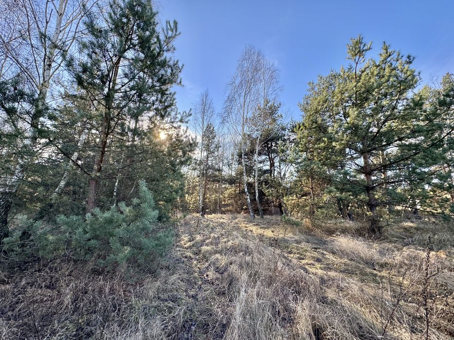 Земельна ділянка 8 Га! Ясногородка!