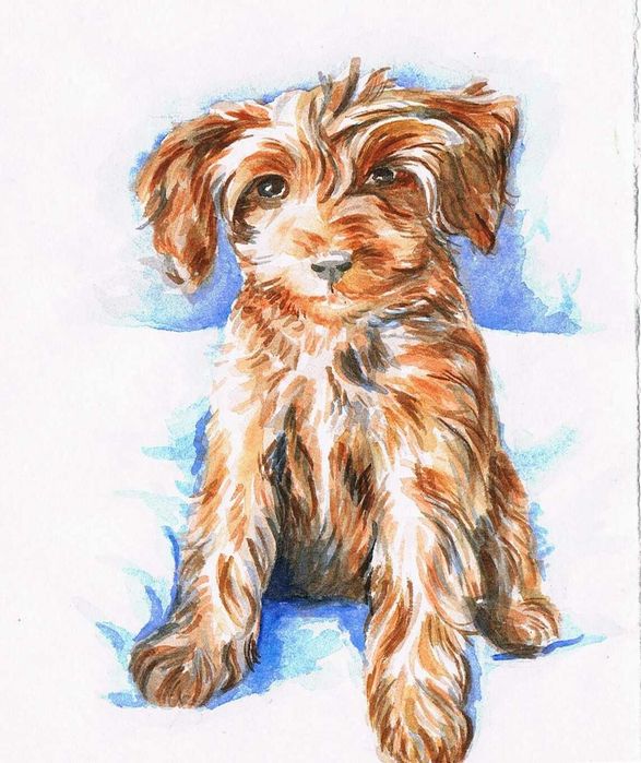 Retrato de cão personalizado