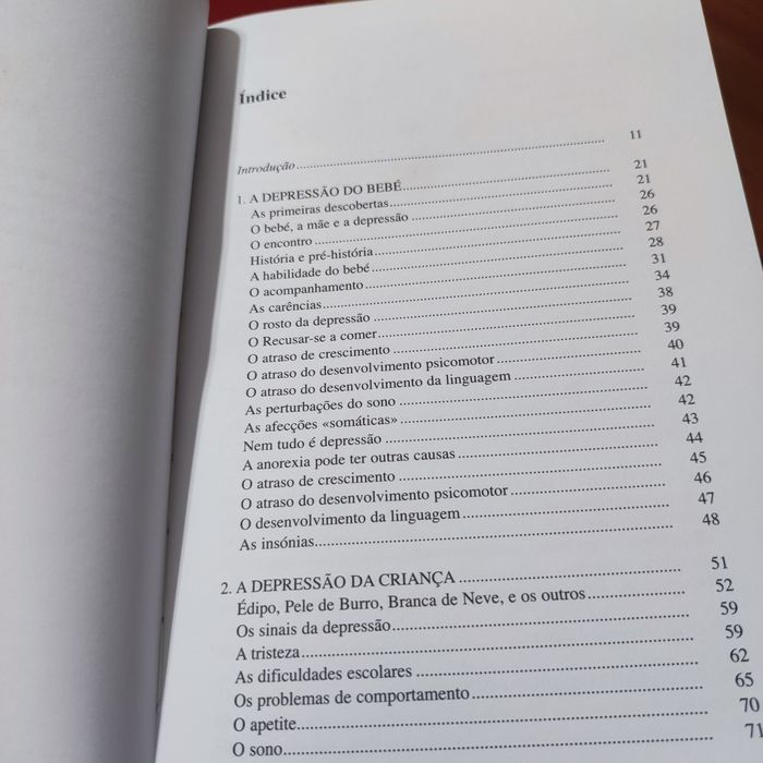 Não estejas triste meu filho: compreender a depressão