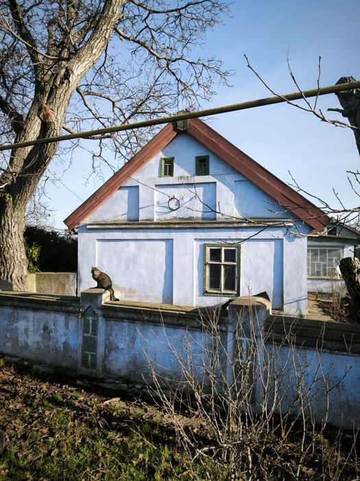 Продається два будинки в центрі с.Великий Дальник