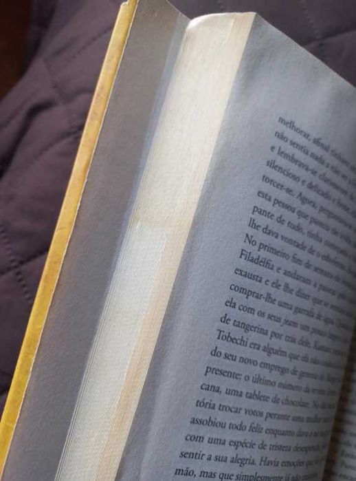 A Coisa à Volta do Teu Pescoço - Chimamanda Ngozi Adichie