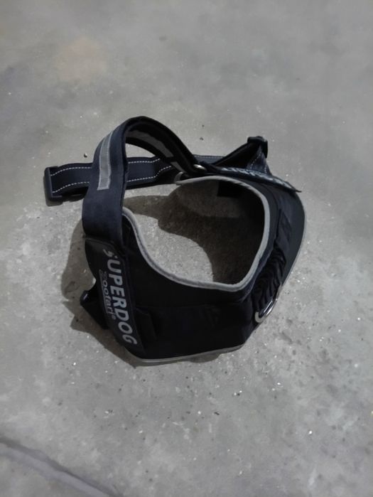 Arnês de cão Refletor