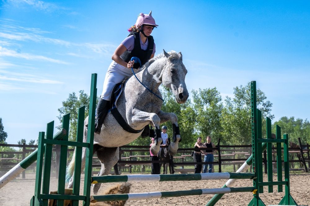Klacz małopolska 2010 rocznik