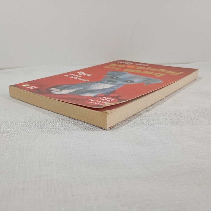 Zaopiekuj się mną. Hyzio, piesek ze schroniska. Holly Webb,