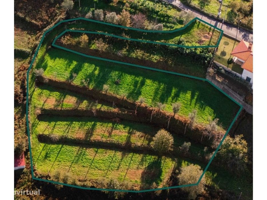 Terreno Agrícola com 3.300 m² na Póvoa de Lanhoso - Imperdível!