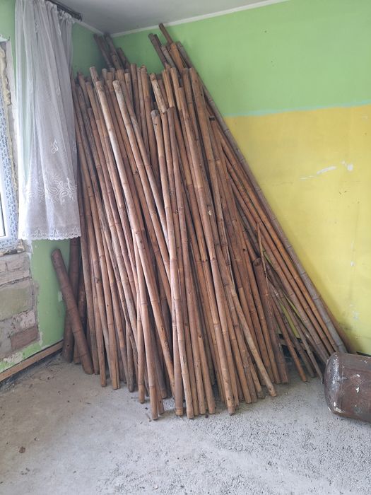 Tyczki bambysowe naturalne