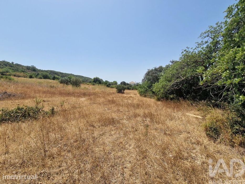 Terreno Agrícola em Santa Bárbara de Nexe