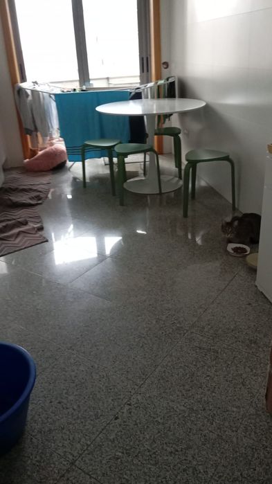 General Renovations531655658277457922