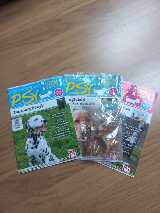 Gazetki pieski plus figurka