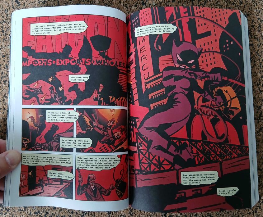 BD - Catwoman: Trail of the Catwoman (Darwyn Cook & Ed Brubaker)