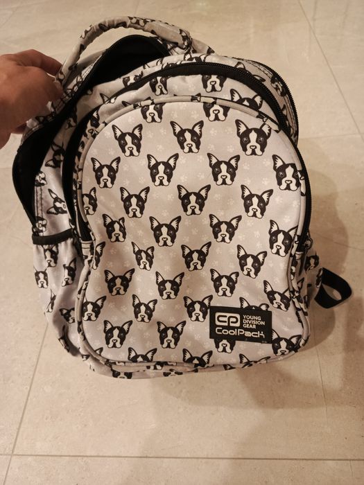 Plecak COOLPACK pies buldog francuski stan bardzo dobry