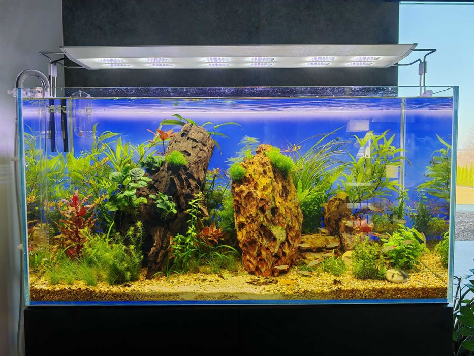 Podświetlane tło akwarium DIY jak Lightground Diversa itp 100x50cm RGB