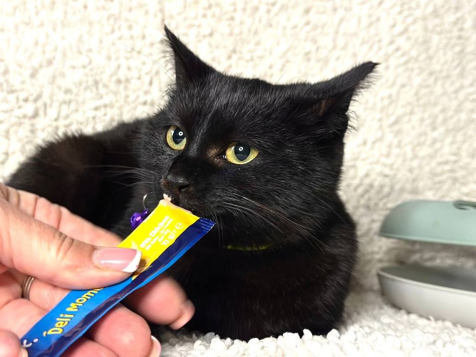 Мамо,знайдись,я тебе дуже чекаю!