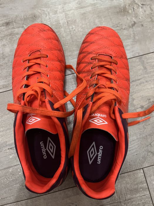 Сороконіжки umbro medusae