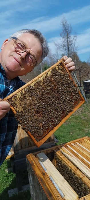 Sprzedam rodziny pszczele.