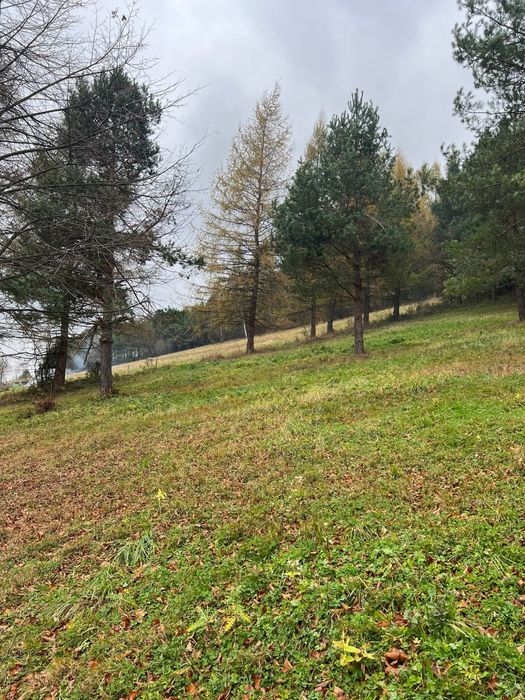 Dzialka widokowa warunki zabudowy Bieszczady